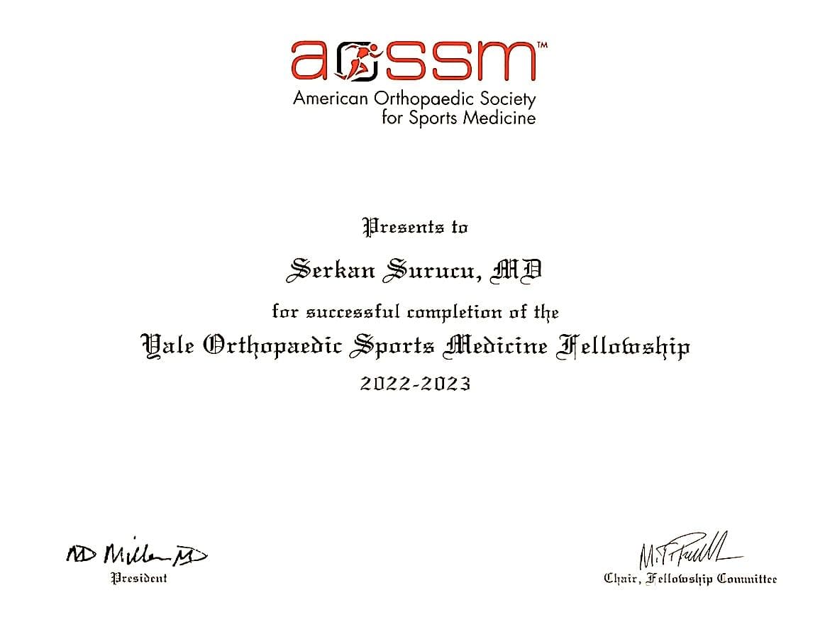 AOSSM YALE Certificate — Sertifikalar